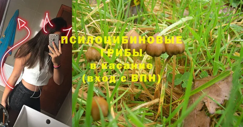 Псилоцибиновые грибы MAGIC MUSHROOMS  закладка  Красноуфимск 